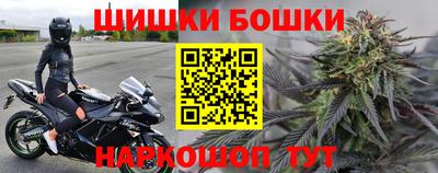 СК Будённовск